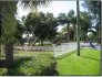 brown park_6